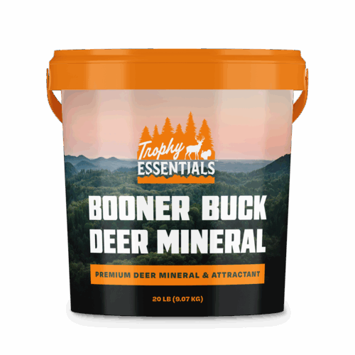 Booner Buck Deer Mineral Bucket